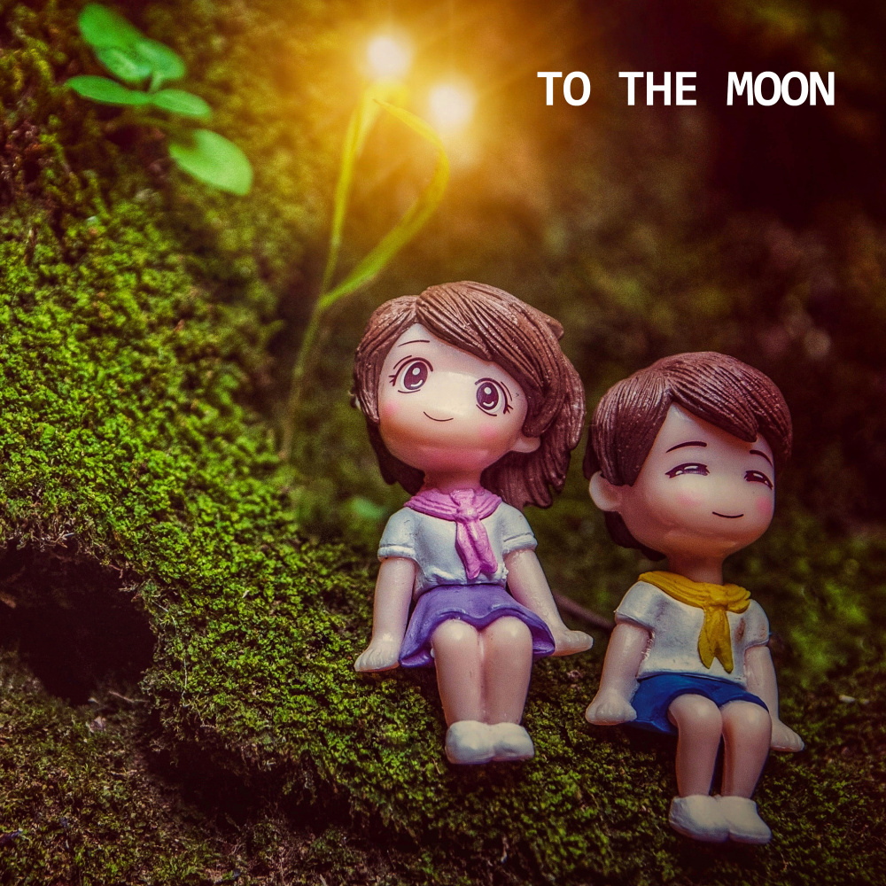 To the Moon