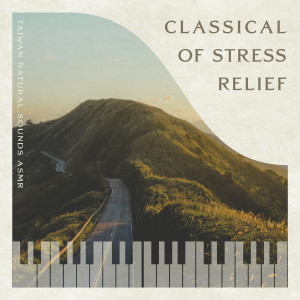 古典乐精选 钢琴贵族音乐的专辑钢琴放松轻听 岛屿漫步 古典乐精选