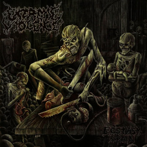 ดาวน์โหลดและฟังเพลง Devourment Syndrome พร้อมเนื้อเพลงจาก Extreme Violence