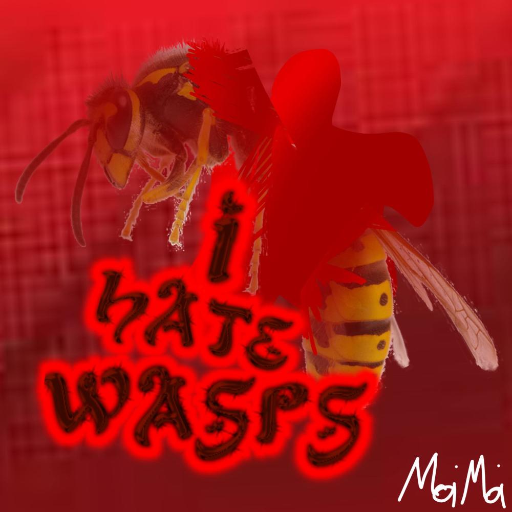 I HATE WASPS