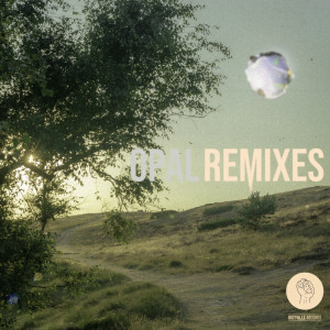 Snavs的专辑Opal (Remixes)
