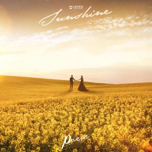 Listen to ความหมายในทุกวัน song with lyrics from Prem
