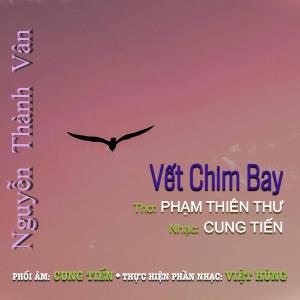 收聽Nguyễn Thành Vân的Vết Chim Bay歌詞歌曲
