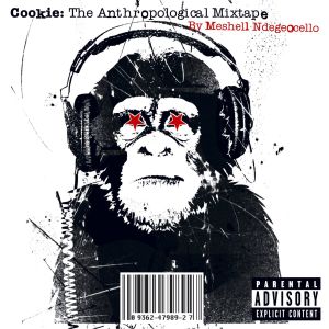 ดาวน์โหลดและฟังเพลง Trust (Album Version) พร้อมเนื้อเพลงจาก MeShell Ndegeocello