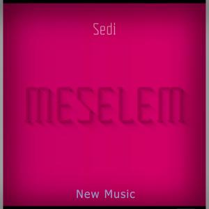 Meselem (feat. Sedi) dari Owazly Nur