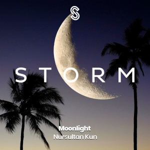 Listen to Moonlight (Radio Edit) song with lyrics from Nursultan Kun