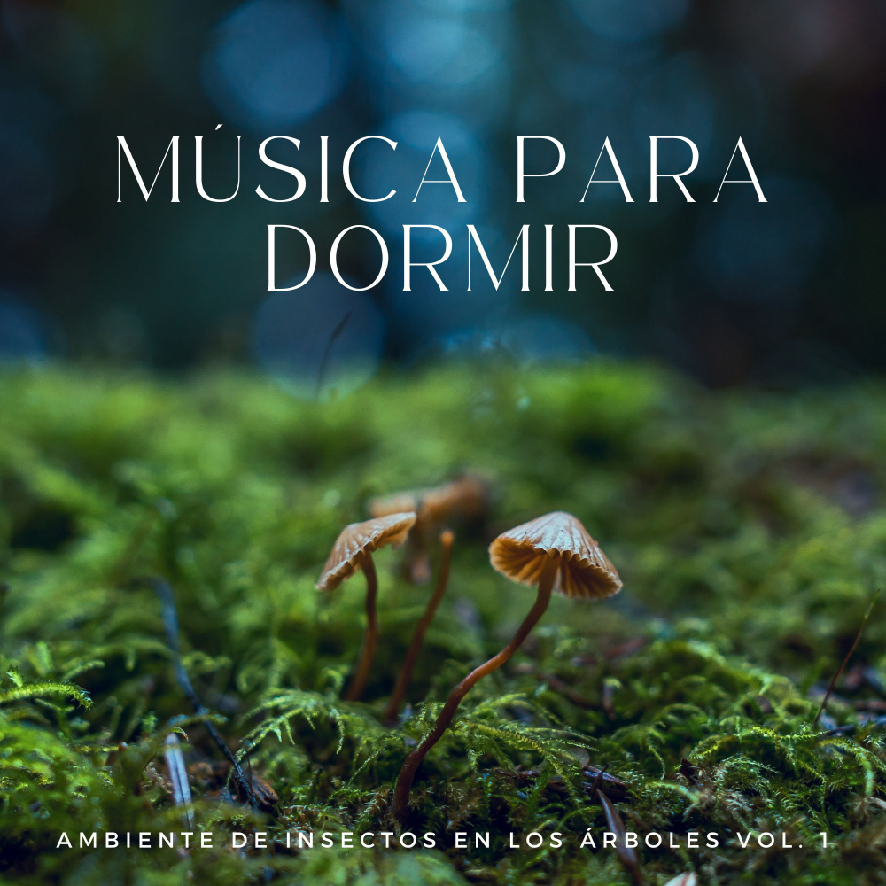 Música De Meditación Zen