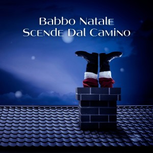 Listen to Rareza Del Siglo song with lyrics from Celia Cruz & la Sonora Matancera