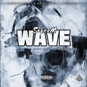 Saleem的專輯Wave (Explicit)