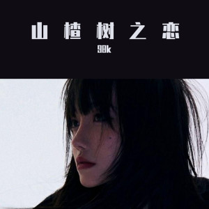 收聽群星的赤伶（DJ版）歌詞歌曲