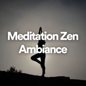 Album Meditation zen ambiance from Zen Méditation Ambiance