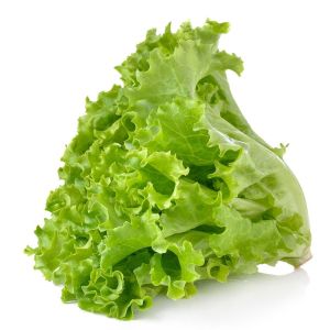 Album Lettuce (Explicit) from Cradposh