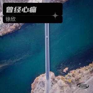 ดาวน์โหลดและฟังเพลง 曾经心痛 (cover: 叶蒨文) (完整版) พร้อมเนื้อเพลงจาก 徐欣