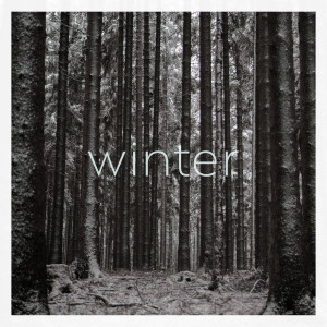 Album Vier Jahreszeiten - Winter (dyrtbyte Remix) from DyrtByte