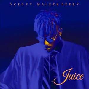 Album Berry Juice from Ycee