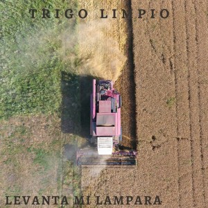 Trigo Limpio的專輯Levanta Mi Lámpara