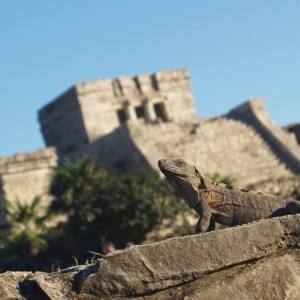 Dengarkan lagu Mexicas nyanyian Jiem EB Music dengan lirik