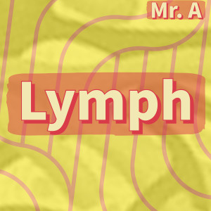 Album Lymph from Mr. A