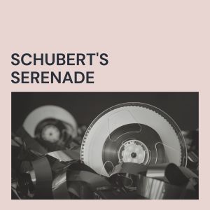 Ray Conniff And His Orchestra And Chorus的专辑Schubert's Serenade
