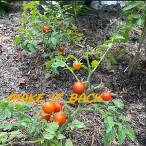 收聽BB Angel的Make It Back (Explicit)歌詞歌曲