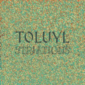 Album Toluyl Striations oleh Various
