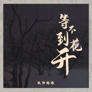收聽歐陽尚尚的等不到花開歌詞歌曲