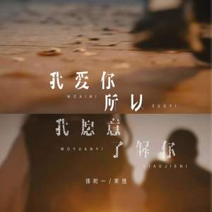 Album 我爱你所以愿意了解你 from 徐时一
