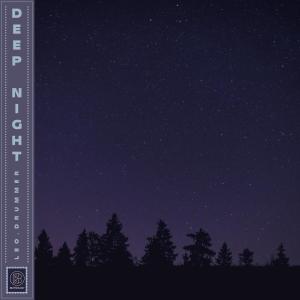 leo.drummer的专辑Deep Night