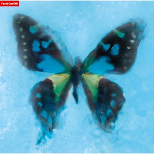 收聽色情塗鴉的Ookami歌詞歌曲