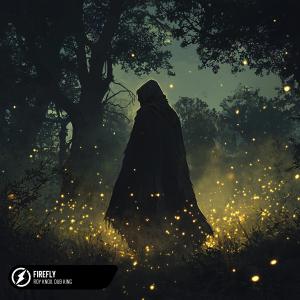 ดาวน์โหลดและฟังเพลง Firefly พร้อมเนื้อเพลงจาก ROY KNOX