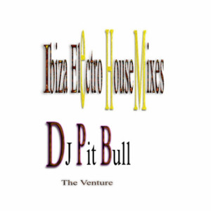 ดาวน์โหลดและฟังเพลง Ibiza Electro House Mixes พร้อมเนื้อเพลงจาก DJ Pit Bull