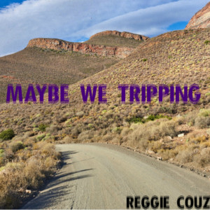 Listen to Maybe We Tripping song with lyrics from Reggie Couz