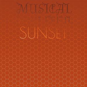 Various Artists的專輯Musical Wonderful Sunset