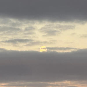 收聽Garna的Dance With Me歌詞歌曲