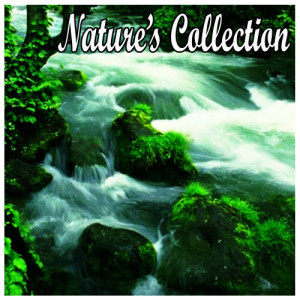 ดาวน์โหลดและฟังเพลง Buddha Meditation พร้อมเนื้อเพลงจาก Meditation Music Masters