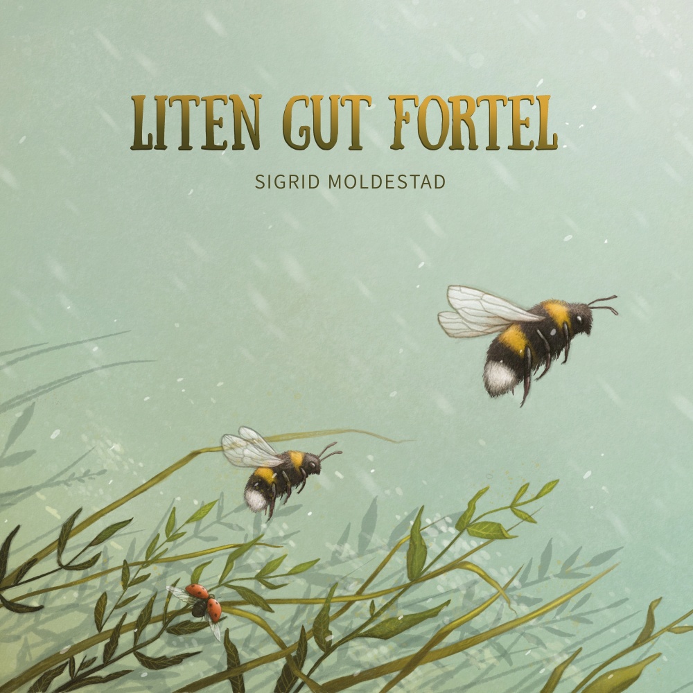 Liten gut fortel
