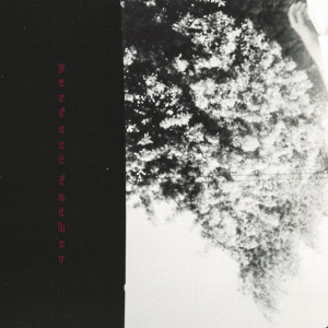 Album Perfect Father from Josh Gauton