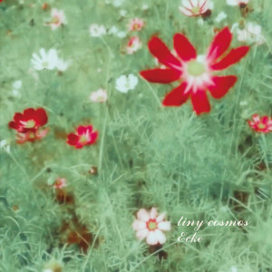 ดาวน์โหลดและฟังเพลง tiny cosmos พร้อมเนื้อเพลงจาก 吴雪颖