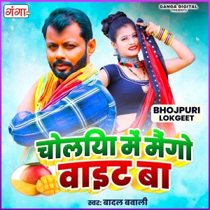 ดาวน์โหลดและฟังเพลง Choliya Me Mango White Ba พร้อมเนื้อเพลงจาก Badal Bawali