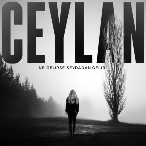 收听Ceylan的Ne Gelirse Sevdadan Gelir歌词歌曲
