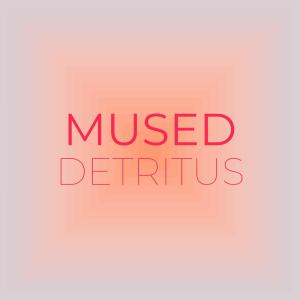 Various Artists的專輯Mused Detritus