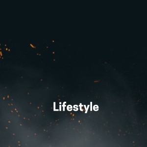 Listen to Lifestyle (Freestyle) song with lyrics from Dammy Krane