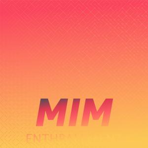 Various Artists的專輯Mim Enthrallment