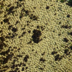 收聽QUEMIST的Our eyes on the water歌詞歌曲