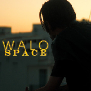 Album Walo from Space