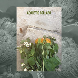 收听Acoustic Collabo的Think About You歌词歌曲