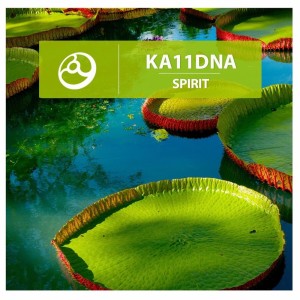 Album Spirit from Ka11dna