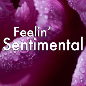 ดาวน์โหลดและฟังเพลง On The Sentimental Side พร้อมเนื้อเพลงจาก Louis Armstrong