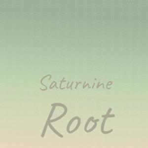 Album Saturnine Root from Various