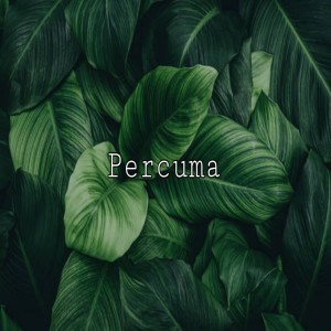 Listen to Percuma song with lyrics from PasKall